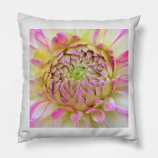 Macro Bright Pink, Yellow And White Dahlia Bloom Pillow