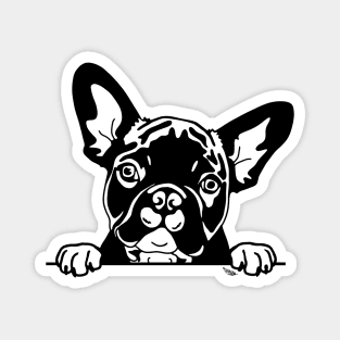 French Bulldog Puppy Peeking Magnet