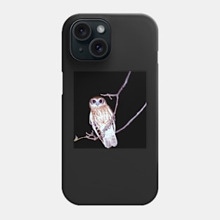 Barking Owl at Night, Northern Territory, Australia Phone Case