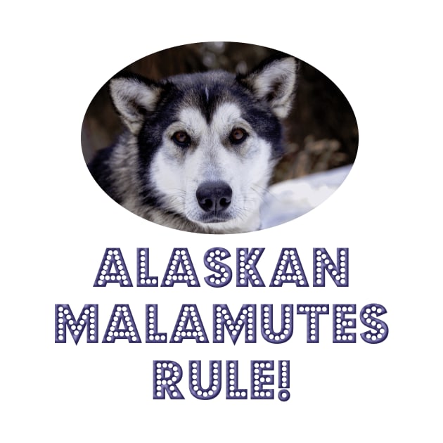 Alaskan Malamutes Rule! by Naves