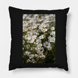 Memory of Summer Pillow