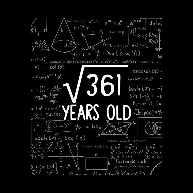 Square Root of 361: 19th Birthday 19 Years Old T-Shirt - Sq - Phone Case