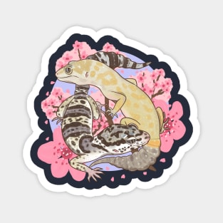 Leopard Geckos and Sakura Magnet