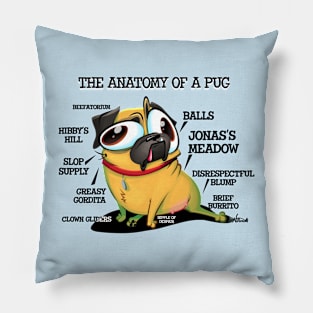 Anatomy of a Pug Pillow