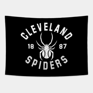 Cleveland Spiders 1887 Defunct Tapestry