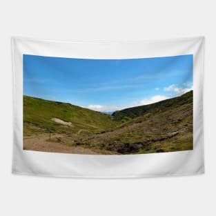 Channel Islands National Park Santa Cruz Island Tapestry