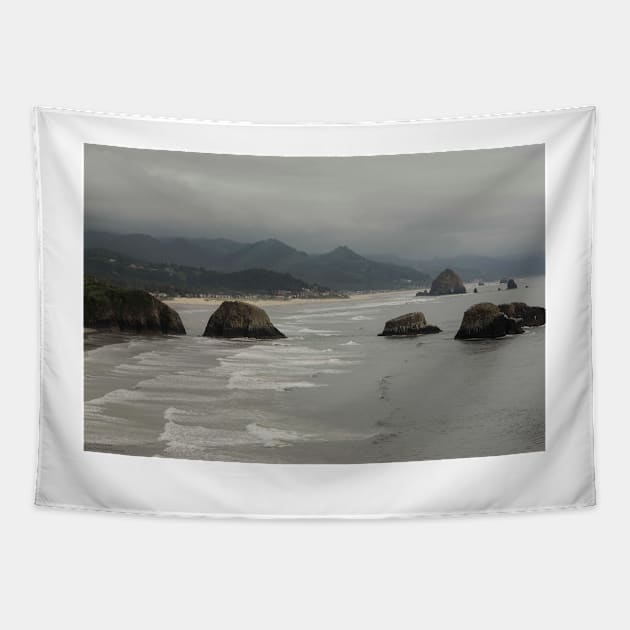 Somewhere Along The Oregon Coast - 2 © Tapestry by PrinceJohn