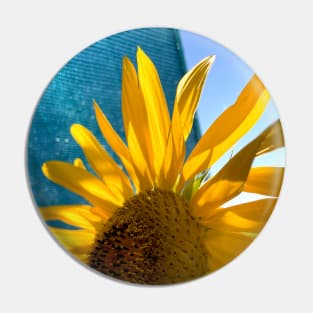 photo sunflower for ukraine Pin