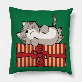 Cat on Gift Package Pillow