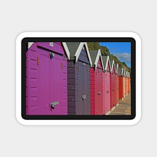 Sheds Of Any Colour But Grey Magnet