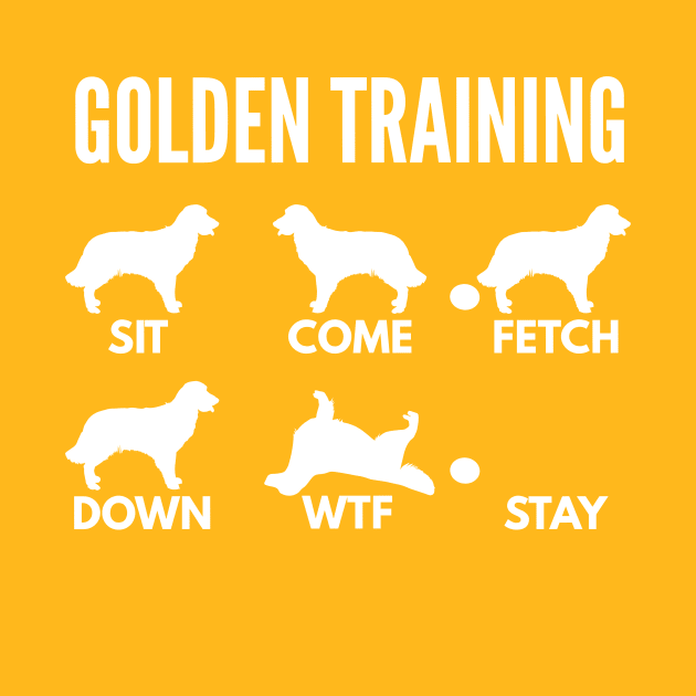 Golden Training Golden Retriever Dog Tricks by DoggyStyles