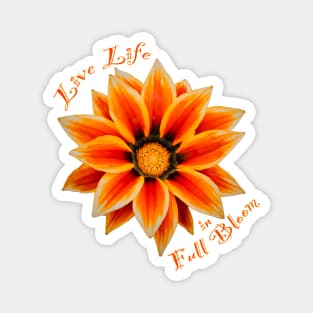 Live life in full bloom Magnet