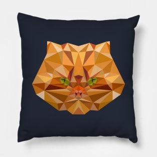 Persian Cat Pillow