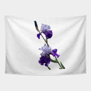 Irises Tapestry