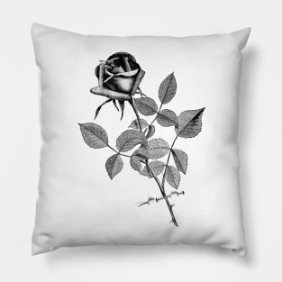 Black Rose Flower Pillow