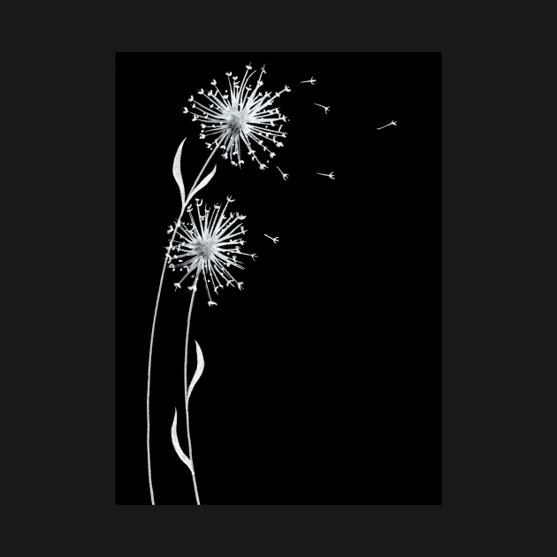 Dandelion by julianaphein