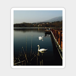 Lake with swan and bridge landscape photography Magnet