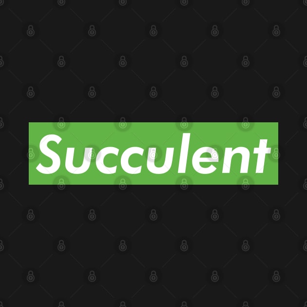 Succulent by inotyler