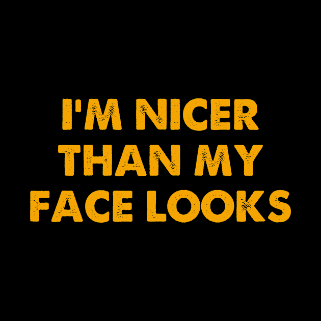 I'm Nicer Than My Face Looks Sarcasm Funny by Zimmermanr Liame