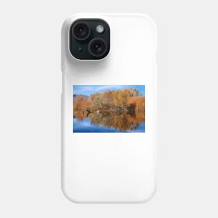 Reflective Moments Phone Case