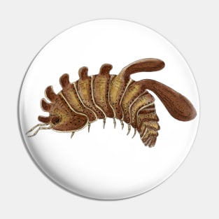 Stigmops howensis Isopod Pin
