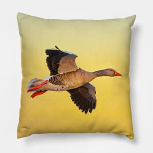 Greylag goose sunset Pillow