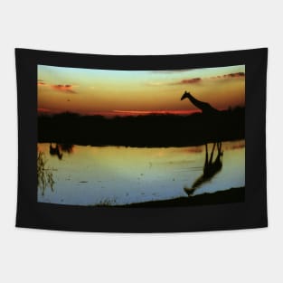 Giraffe at Sunset, Etosha, Namibia Tapestry