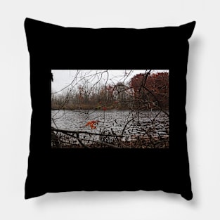 Water Picture In Michigan Woods Pillow