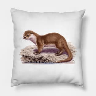 Eurasian Otter Pillow