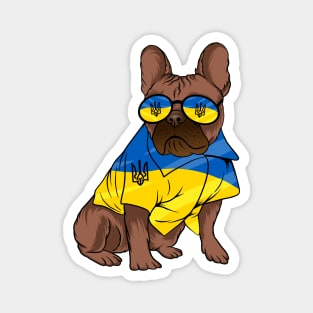 Ukraine Pet Awareness Support Ukrainian Flag Sunglasses Dog Puppy Pug Animals Magnet