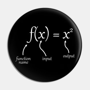 function notation definition Pin