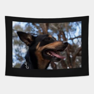 Max - Australian Kelpie Tapestry