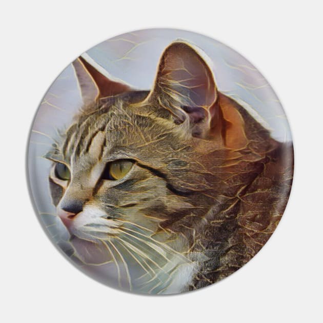 Cute tabby cat Pin by Kielly