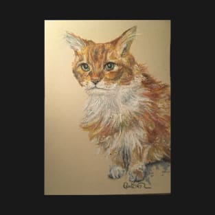 Ginger scruffy tabby cat T-Shirt