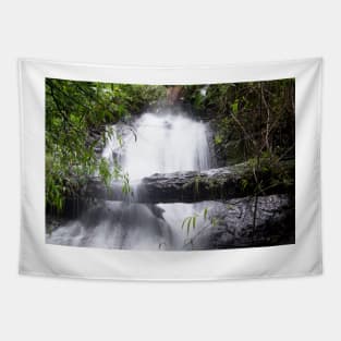 Slb waterfalls Tapestry