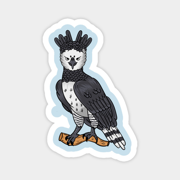 Illustrating the Harpy Eagle