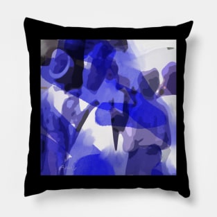 Nihang Singhs Pillow