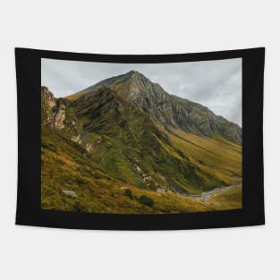 Granite Mountain Peak on Greina High Plain Tapestry