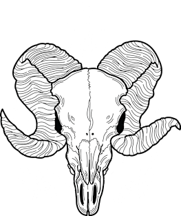 Ram Skull Magnet