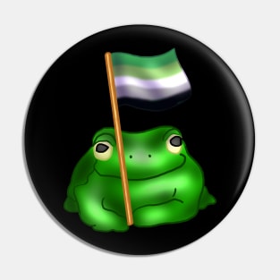 Aromantic LGBTQ Frog Pin