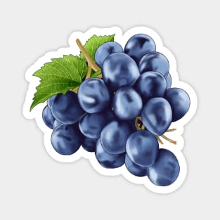 Grape Magnet