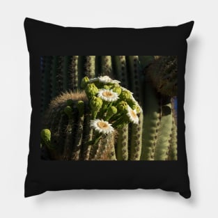 Saguaro in Bloom Pillow