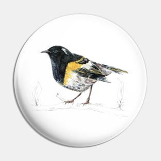 Mr Hihi, New Zealand native bird Pin