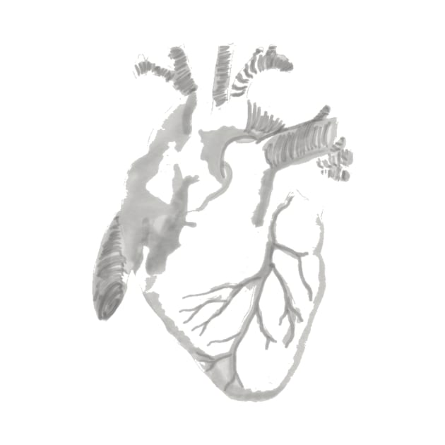 Anatomical grayscale heart by isarol