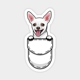 Funny Chihuahua Pocket Dog Magnet