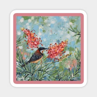 Spinebilleas (Eastern Spinebills in Grevillea) Magnet