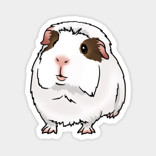 White, Brown Eye Patches Crested Guinea Pig Magnet