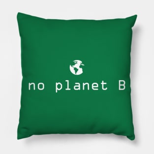 No planet B Pillow