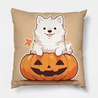 White fluffy dog in a pumpkin Pillow