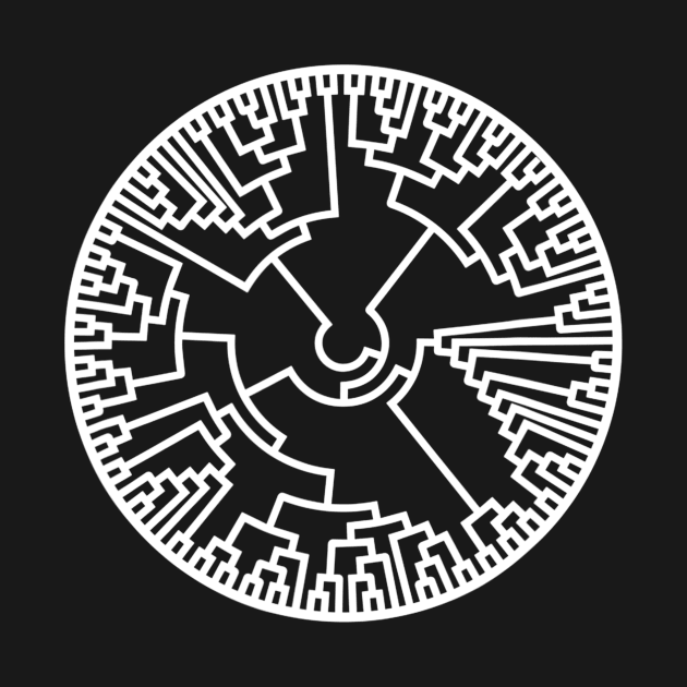 Biologist Phylogenetic Tree Evolution Teacher Biology by agustinbosman